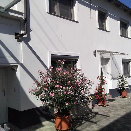 Ferienhaus Fam. Bisgen Niederkirchen bei Deidesheim エクステリア 写真